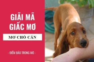 Nhìn thấy chó cắn gà đánh con gì? Ý nghĩa mơ thấy chó cắn gà