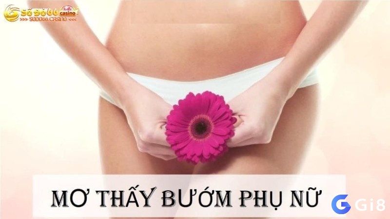 Giải mã nhìn thấy bướm phụ nữ đánh con gì cùng Gi8 nhé!