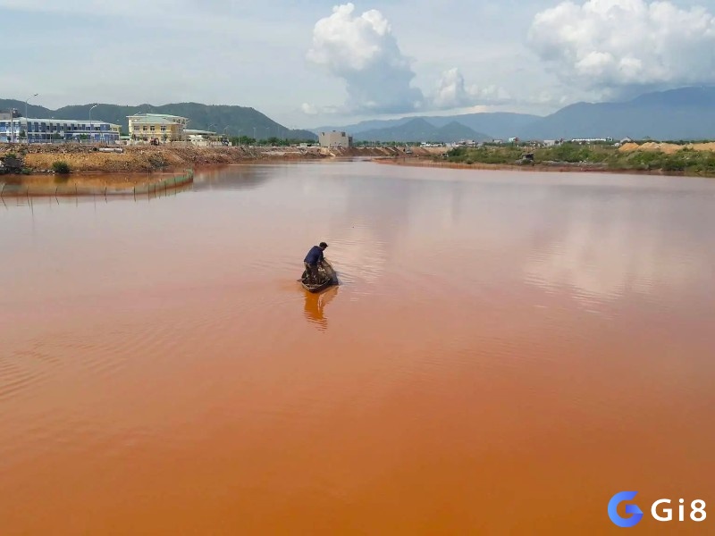 Ngủ mơ thấy dòng sông nước đục ngầu khuyên nhủ bạn cần dành thời gian nghỉ ngơi để tránh những cảm xúc tiêu cực