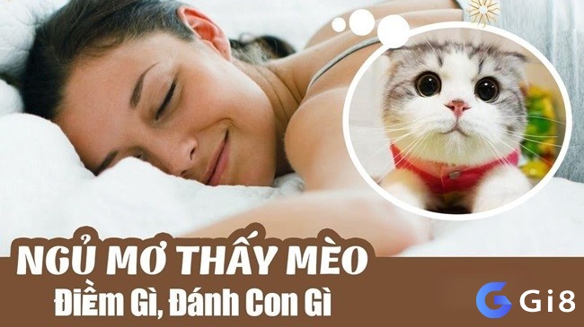 Giải mã giấc chiêm bao thấy mèo giúp bạn tìm ra các con đề may mắn, dễ trúng