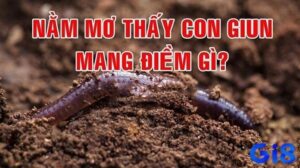 Nhìn thấy giun trong mơ có ý nghĩa gì? Con số may mắn