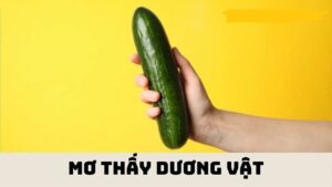 Mơ thấy của quý đàn ông đánh đề con gì chuẩn xác?