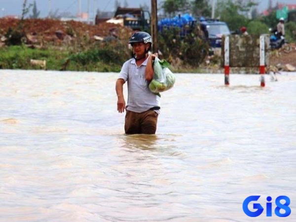 Mơ lội nước là sự dự báo về những bão lũ sắp đến với anh em 